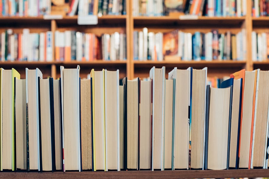 books-knowledge-school-library-education-read.jpg